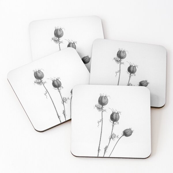 Item preview, Love in a Mist Seed Heads Monochrome designed and sold by Phillip Dove Photography.