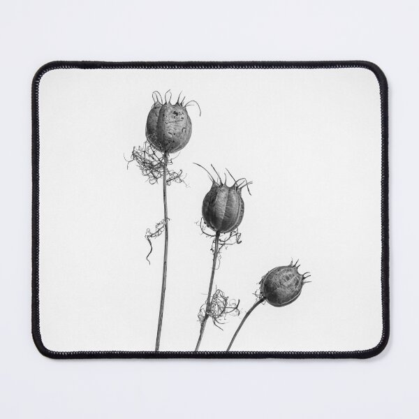 Item preview, Love in a Mist Seed Heads Monochrome designed and sold by Phillip Dove Photography.