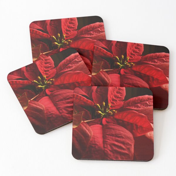 Item preview, Rich Red Poinsettia designed and sold by Poete100.