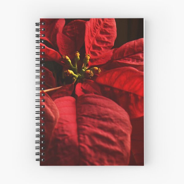 Item preview, Rich Red Poinsettia designed and sold by Poete100.