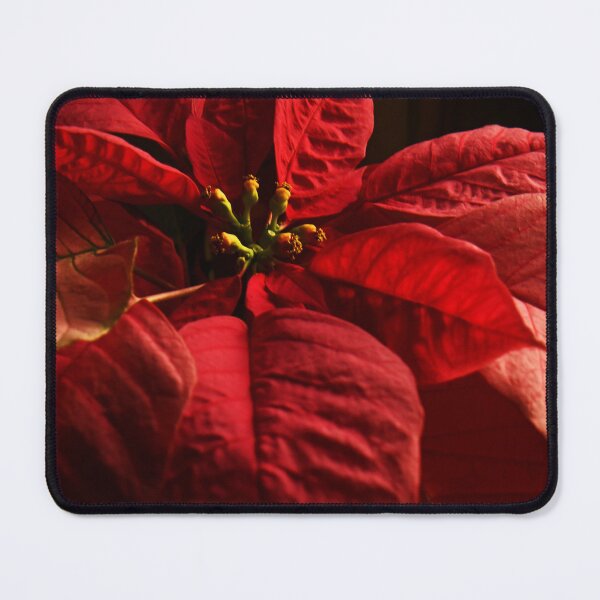 Item preview, Rich Red Poinsettia designed and sold by Poete100.