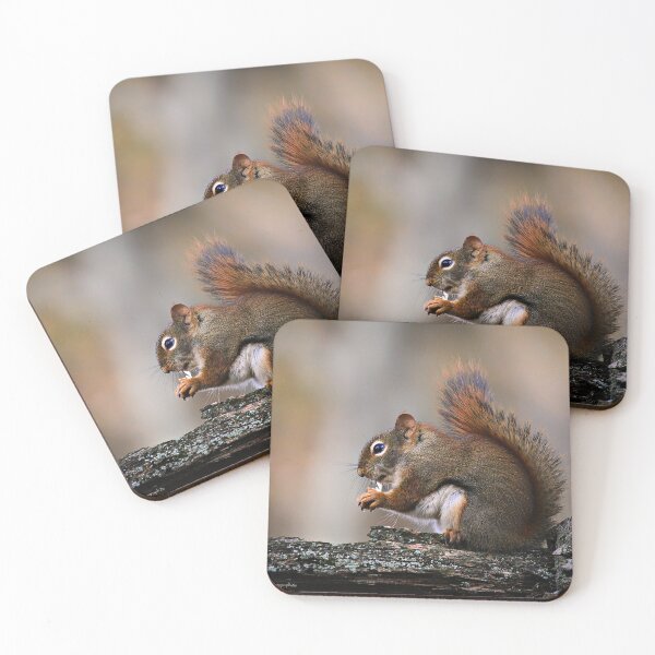Item preview, Mr Squirrel Lunch Time designed and sold by Yannik Hay.