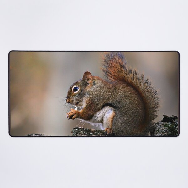 Item preview, Mr Squirrel Lunch Time designed and sold by Yannik Hay.