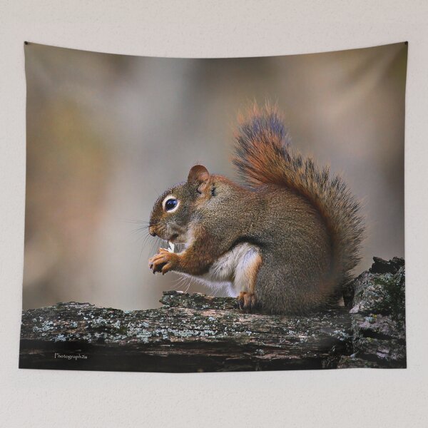 Item preview, Mr Squirrel Lunch Time designed and sold by Yannik Hay.