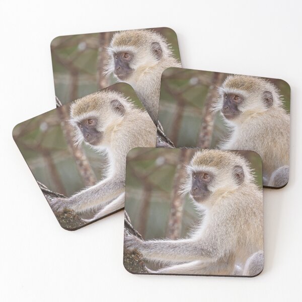 Item preview, Vervet Monkey Tanzania Africa designed and sold by PhotoArt by Joan Carroll.