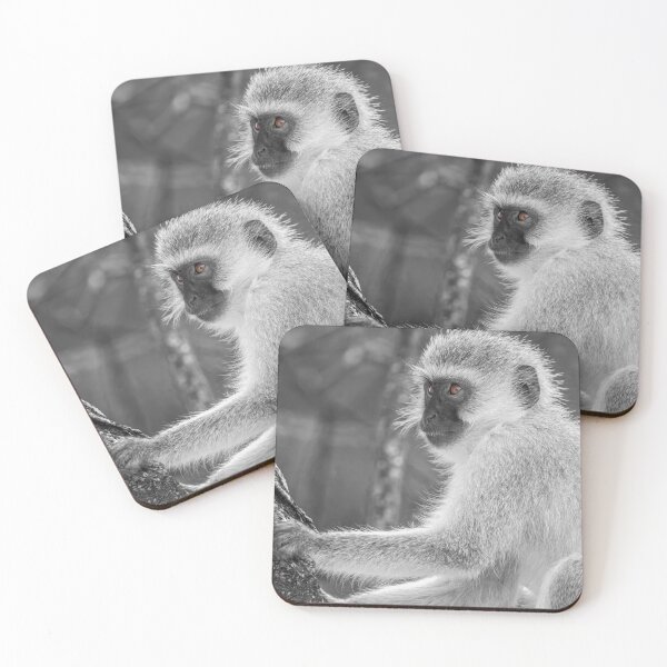 Item preview, Vervet Monkey Tanzania Africa BW designed and sold by PhotoArt by Joan Carroll.