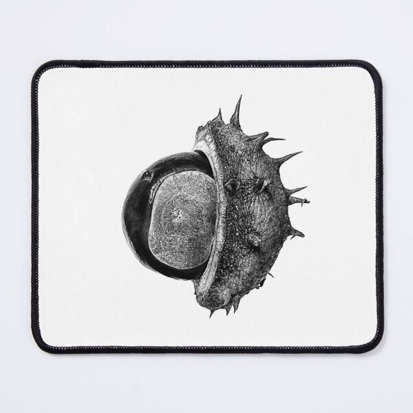 Item preview, Conker, or Horse Chestnut in Monochrome designed and sold by Phillip Dove Photography.