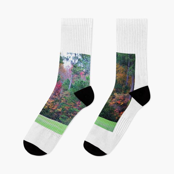 Item preview, Colorful Foliage designed and sold by Cynthia48.