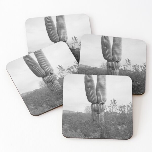 Item preview, Death Valley Cactus - Black and White - Leica Monochrom designed and sold by kuruki.