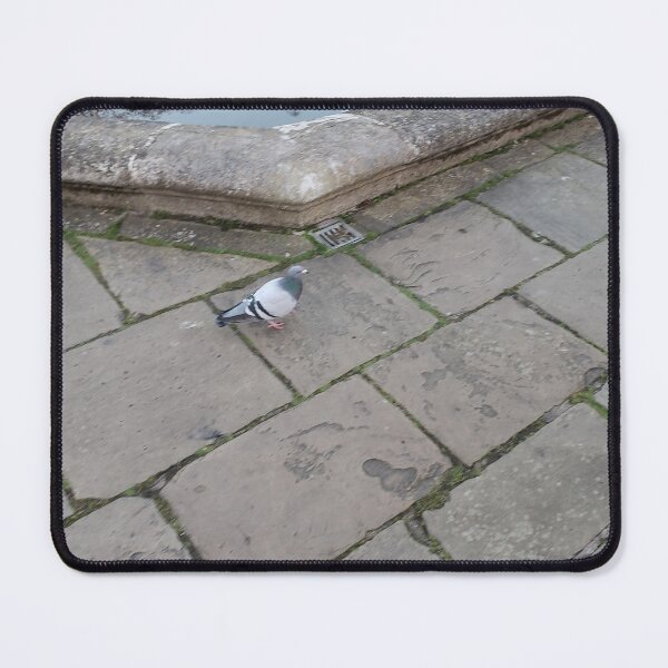 Item preview, Pigeon at Hyde Park designed and sold by 719Cr8ters.