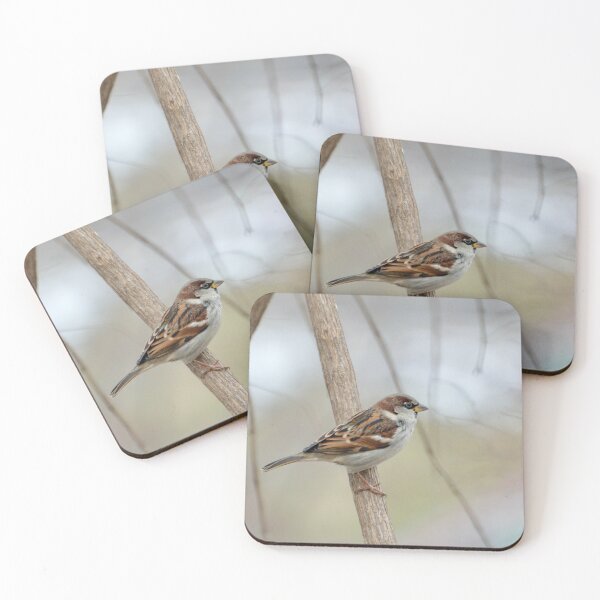 Item preview, Sparrow designed and sold by lisapicklepizza.