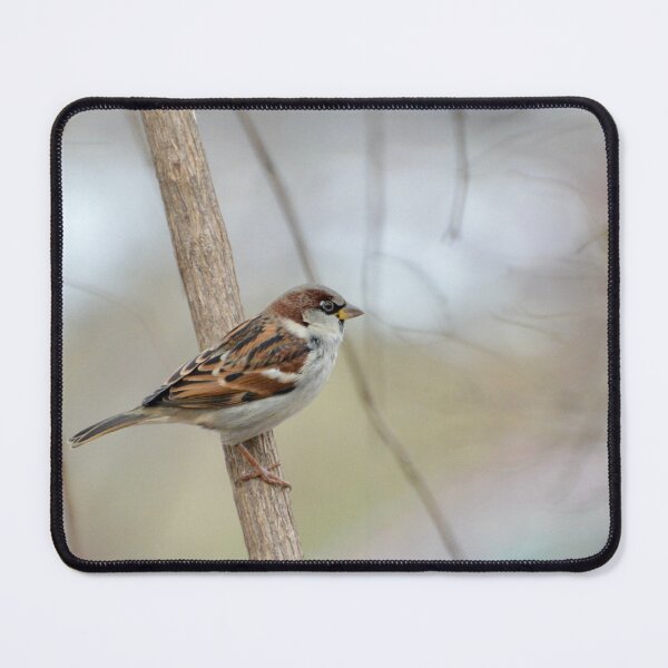 Item preview, Sparrow designed and sold by lisapicklepizza.