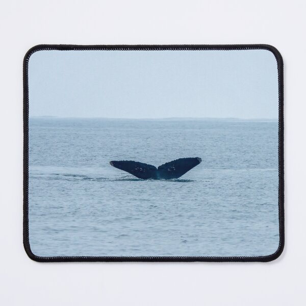 Item preview, Humpback Whale Tale Fluke designed and sold by SafariByMarisa.