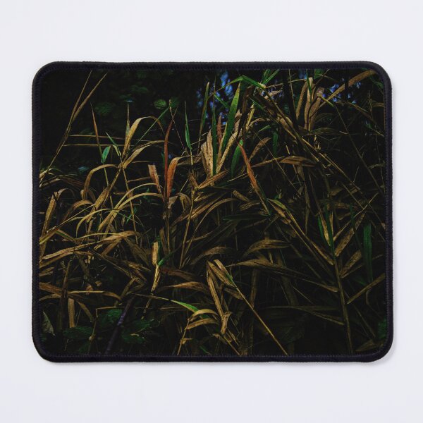 Item preview, Solstice designed and sold by Steve Walser.
