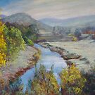 From Jamieson-Licola Road by Lynda Robinson