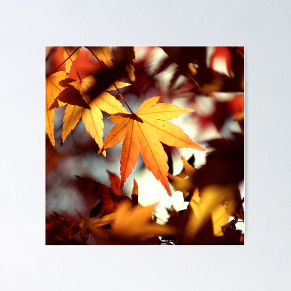 Item preview, Monday designed and sold by James McKenzie.