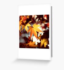 Monday Greeting Card
