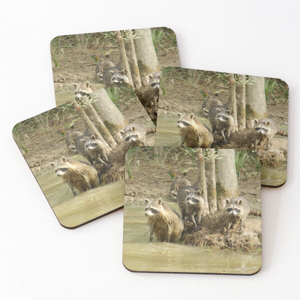 Item preview, Racoons In The Swamp designed and sold by Breanna Trent.