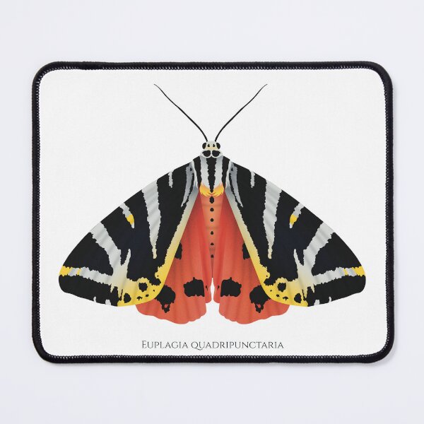 Item preview, Jersey tiger moth designed and sold by swiatek.