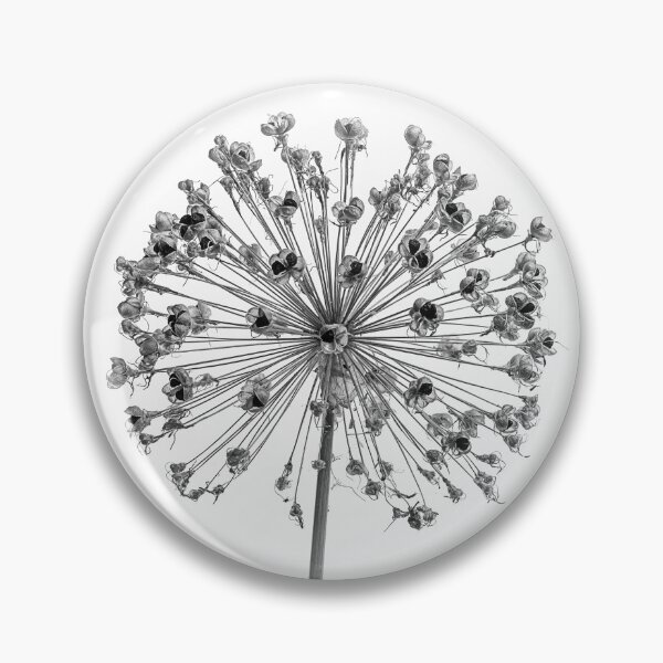 Item preview, Allium Seed Head in monochrome designed and sold by Phillip Dove Photography.
