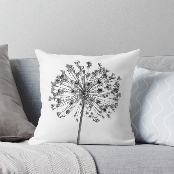 Item preview, Allium Seed Head in monochrome designed and sold by Phillip Dove Photography.