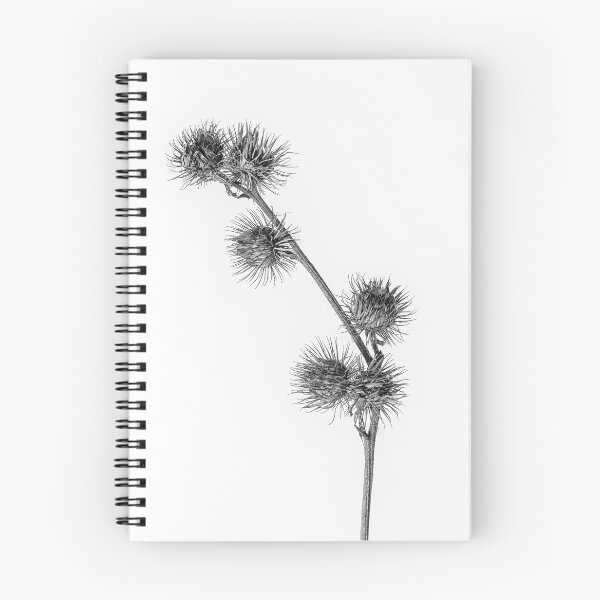 Item preview, Burdock Seed Head designed and sold by Phillip Dove Photography.