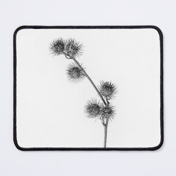 Item preview, Burdock Seed Head designed and sold by Phillip Dove Photography.