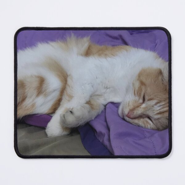 Item preview, Reclining Cat designed and sold by ddgryphon.