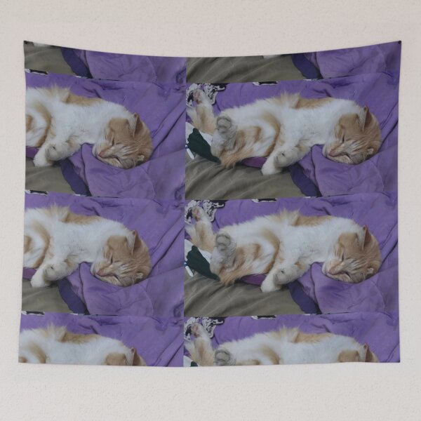 Item preview, Reclining Cat designed and sold by ddgryphon.