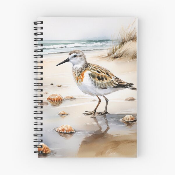 Item preview, A detailed illustration of a small shorebird with brown and white plumage, standing on a sandy beach with scattered seashells designed and sold by homydesign.