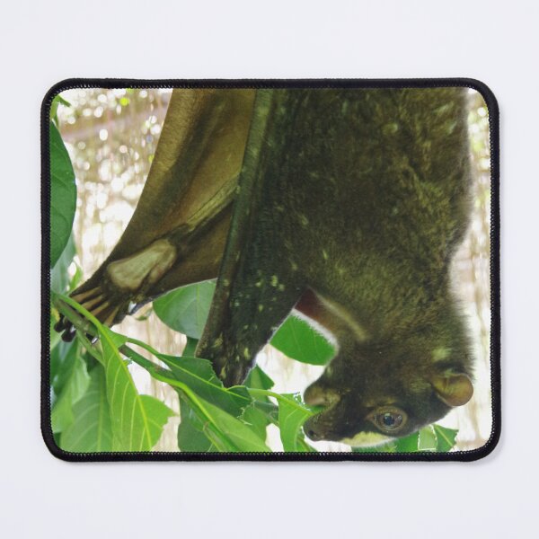 Item preview, Philippine Colugo in Bohol, Philippines designed and sold by The Botanical Jason.