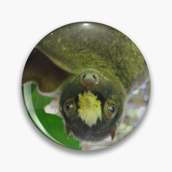 Artikelvorschau, Philippinischer Colugo in Bohol, Philippinen entworfen und verkauft von The Botanical Jason.