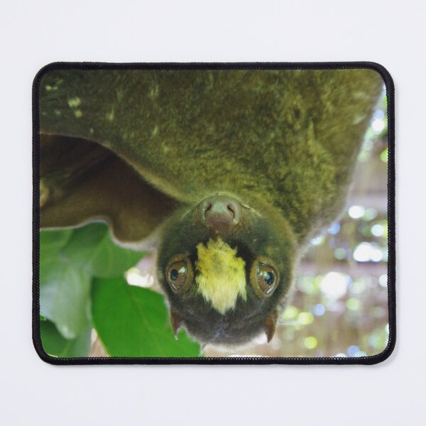 Item preview, Philippine Colugo in Bohol, Philippines designed and sold by The Botanical Jason.