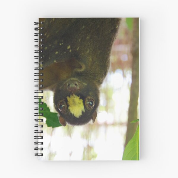 Artikelvorschau, Philippinischer Colugo in Bohol, Philippinen entworfen und verkauft von The Botanical Jason.