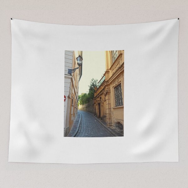 Item preview, Cobblestone Alley - Bamberg, Germany designed and sold by Photographic Memories.