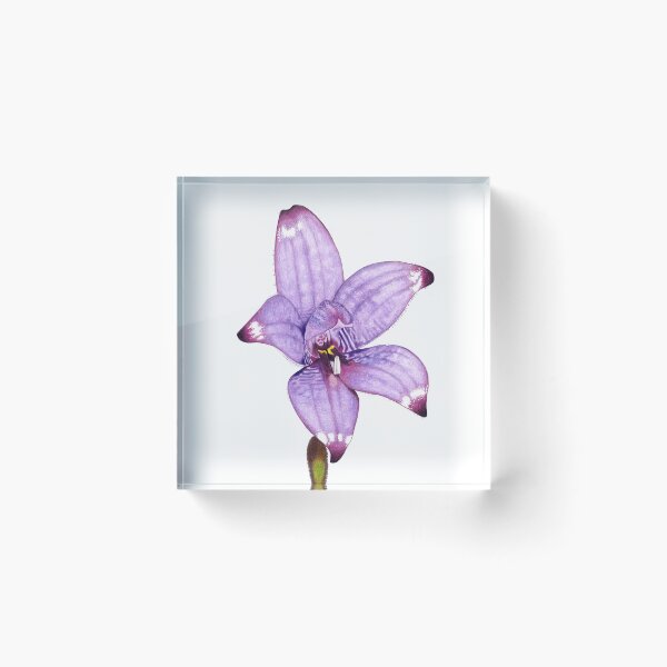 Item preview, Enamel Orchid designed and sold by SERCUL.