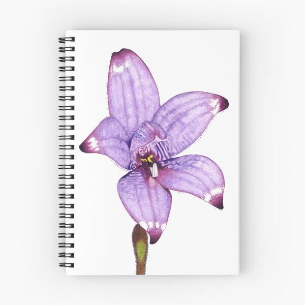 Item preview, Enamel Orchid designed and sold by SERCUL.