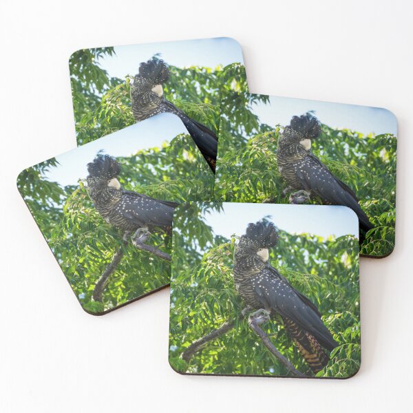Item preview, Female Red-tailed Black-cockatoo designed and sold by Images by Chris de Blank.