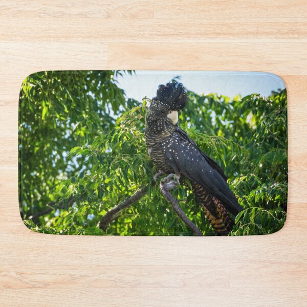 Item preview, Female Red-tailed Black-cockatoo designed and sold by Images by Chris de Blank.
