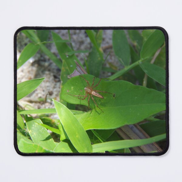 Item preview, Lynx Spider on a Leaf on the Beach on Daku Island, Philippines designed and sold by The Botanical Jason.
