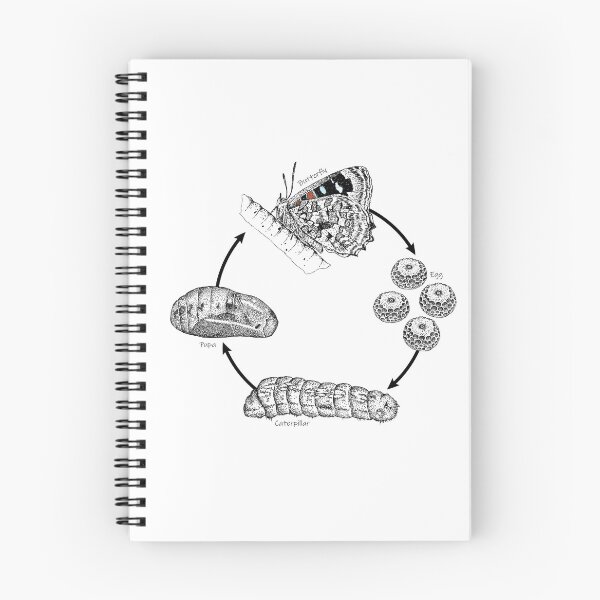 Item preview, The butterfly Life Cycle designed and sold by SERCUL.