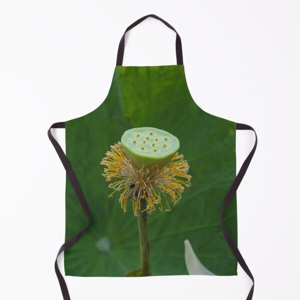 Item preview, Lotus Flower Fruit at the Temple of the Emerald Buddha Bangkok, Thailand designed and sold by The Botanical Jason.