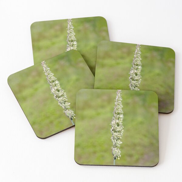 Item preview, Great Basin Wild Rye Growing in Eastern Washington State designed and sold by The Botanical Jason.