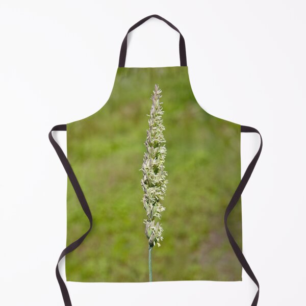 Item preview, Great Basin Wild Rye Growing in Eastern Washington State designed and sold by The Botanical Jason.