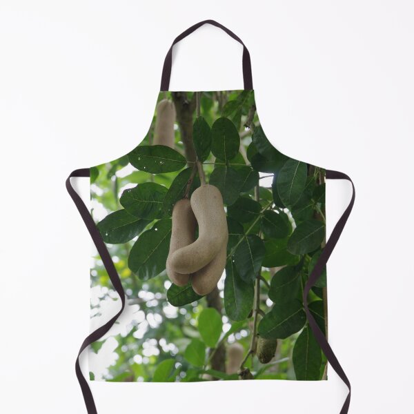 Item preview, Sausage Tree Fruits in Taman Mumbul Sangeh Ubud, Bali, Indonesia designed and sold by The Botanical Jason.