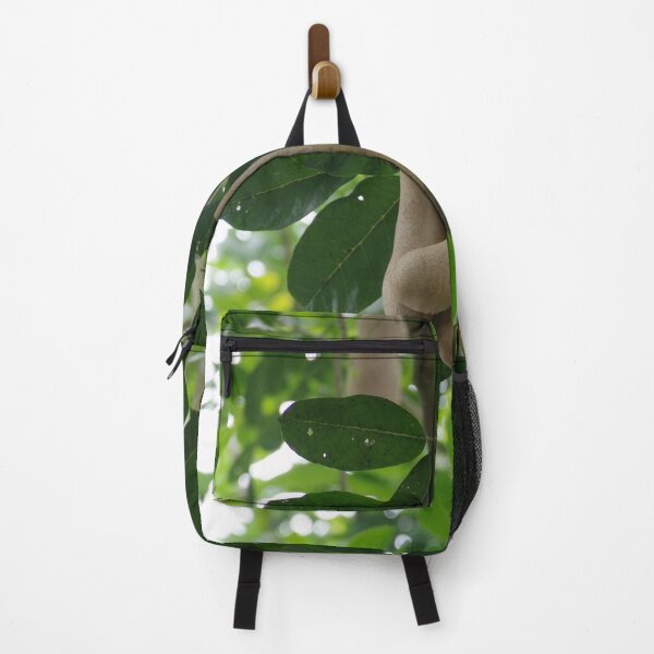 Item preview, Sausage Tree Fruits in Taman Mumbul Sangeh Ubud, Bali, Indonesia designed and sold by The Botanical Jason.