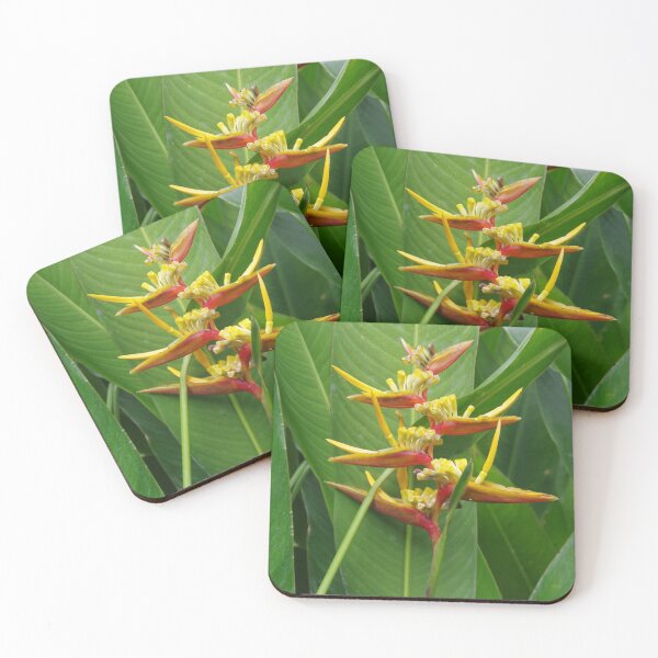Item preview, Parrot's Beak Flower in Ubud, Bali, Indonesia designed and sold by The Botanical Jason.