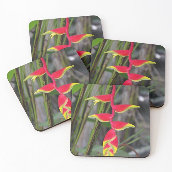Item preview, Hanging Lobster Claw Flower at Tumalog Falls Cebu, Philippines designed and sold by The Botanical Jason.