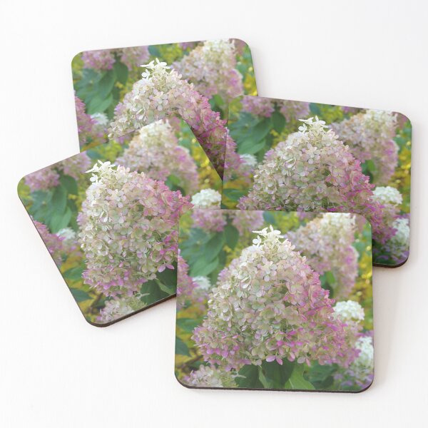 Item preview, Limelight Hydrangea Flowers at Denver Botanic Garden designed and sold by The Botanical Jason.