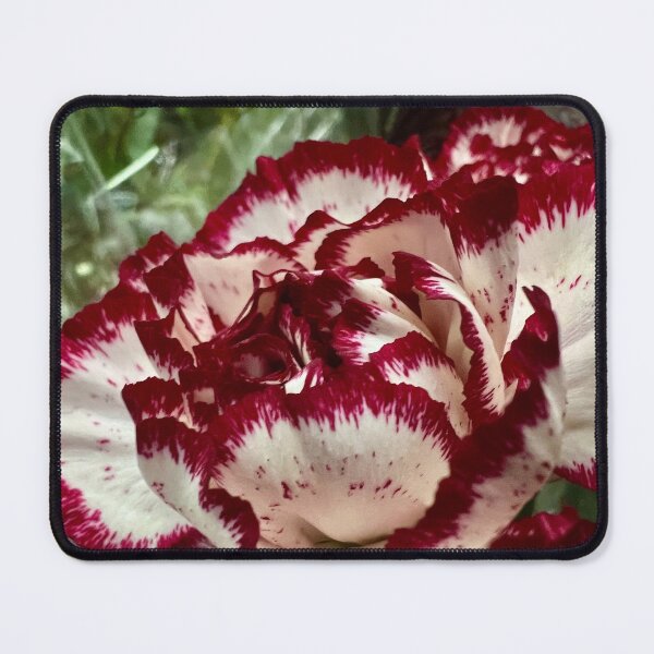 Item preview, Crimson Edged Pedals designed and sold by Betsy Phillips.
